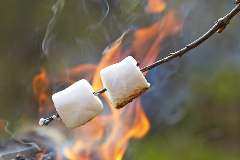 Marshmallows roasted on a fire